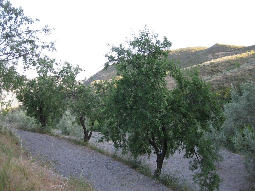 Bancal De Los Perez Carataunas Exterior photo