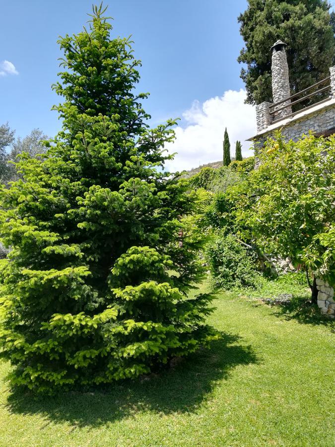 Bancal De Los Perez Carataunas Exterior photo